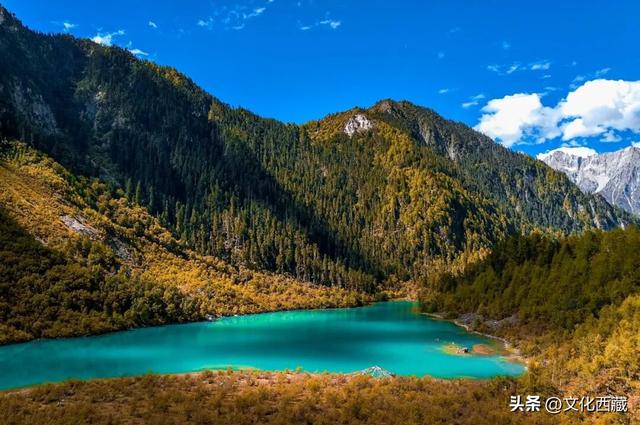 如果此生只来一次西藏林芝，我一定会去这里→