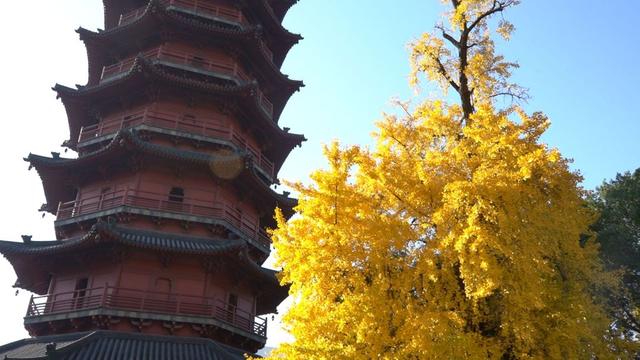 湖州换上初冬“限定皮肤”