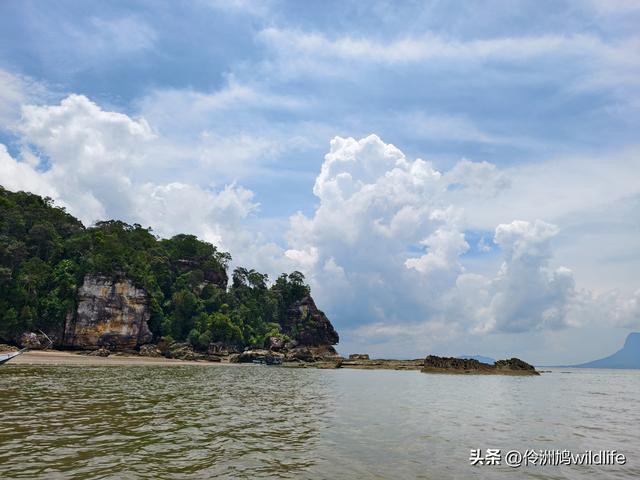 马来西亚(35)砂拉越州⑨峇哥国家公园徒步线路