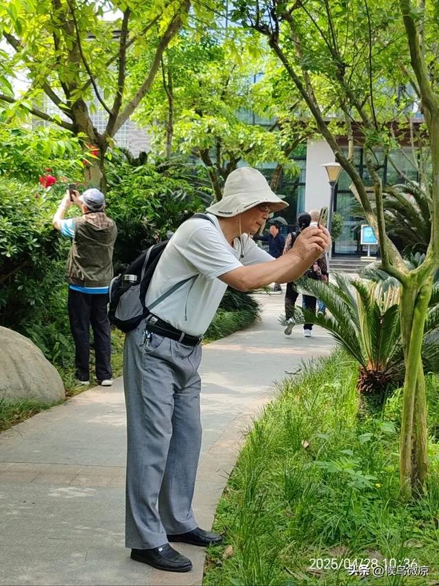 漫步成飞公园：领略航空魅力