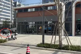 上海青浦有黑猪当街狂奔？真的！小区物业：没抓住跑了，最新提醒→图片