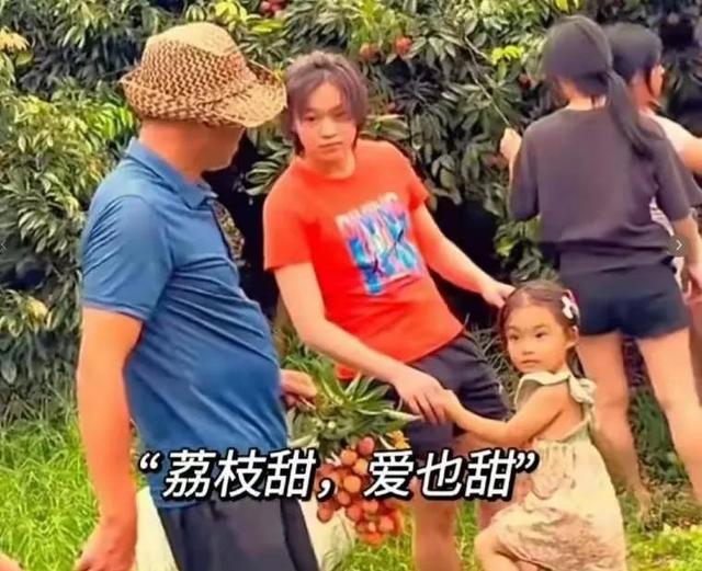 太天真了!本以为全红婵这次退赛，是要告别跳台，结果闷声干大事