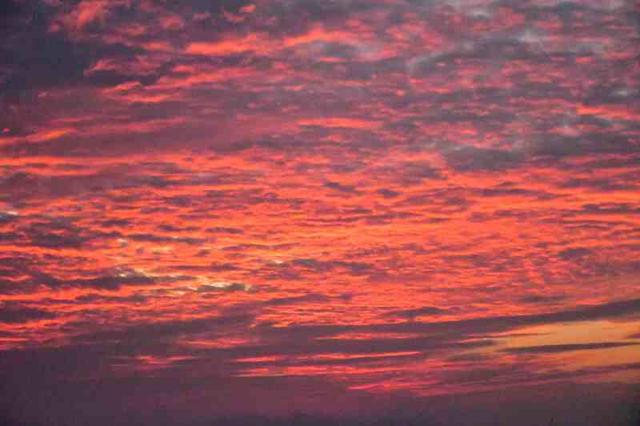 深活指南 | 重阳登高，收藏来自深圳山海的秋日问候​~