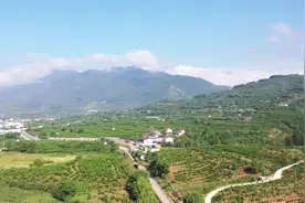 汉台电视新闻 | 花果村：农旅融合助力乡村振兴图片