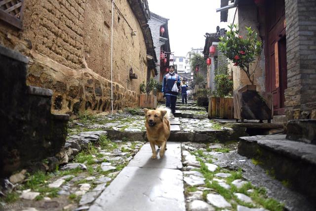 鲁史古镇：茶马古道上的静谧明珠
