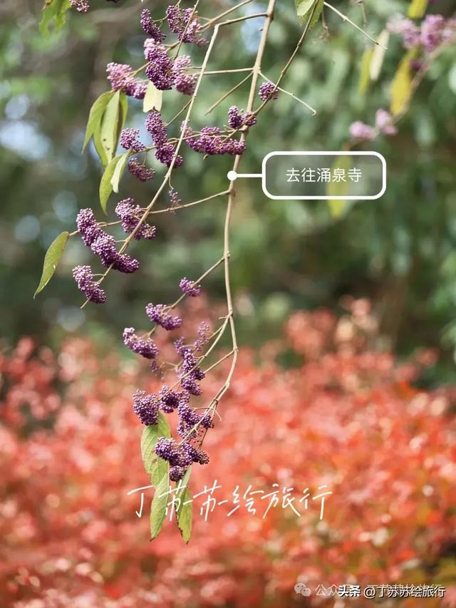 福州马拉松都下班了,爬鼓山还火到排队‼️福州鼓山登山路线攻略