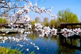 退休后，比较富足的老年女性，大多有这4个特征，一眼就能看出来图片