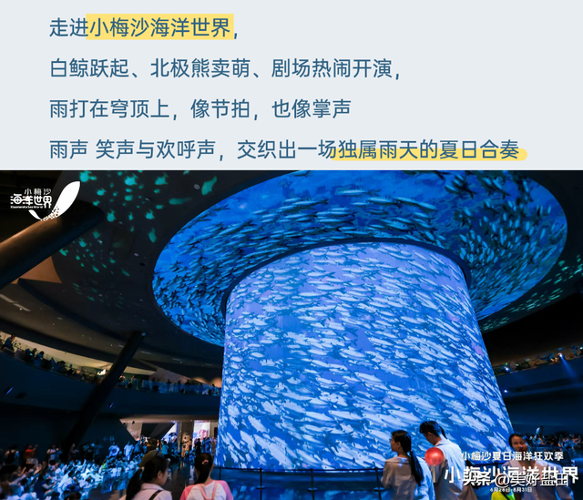 雨天的小梅沙更有feel！最低39.9元特惠限时抢