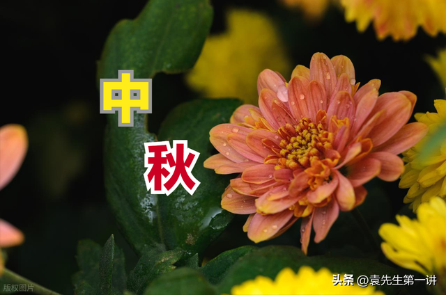 今日中秋，老人说最怕“中秋一日雨”，中秋下雨有啥预兆？早了解