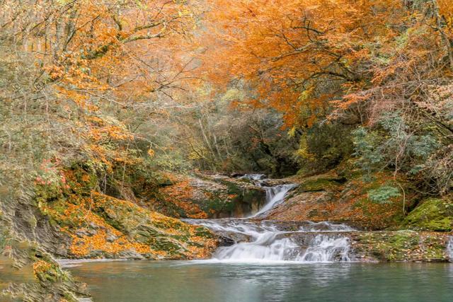 初冬梨平，是秋意没藏好的温柔