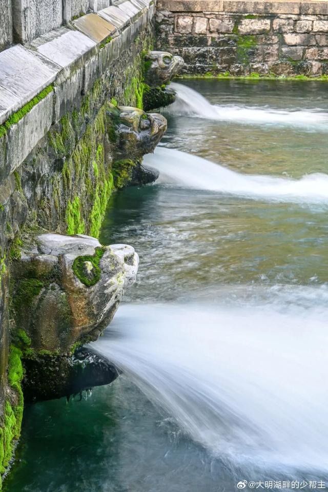 被济南泉水下的世界惊艳到了！