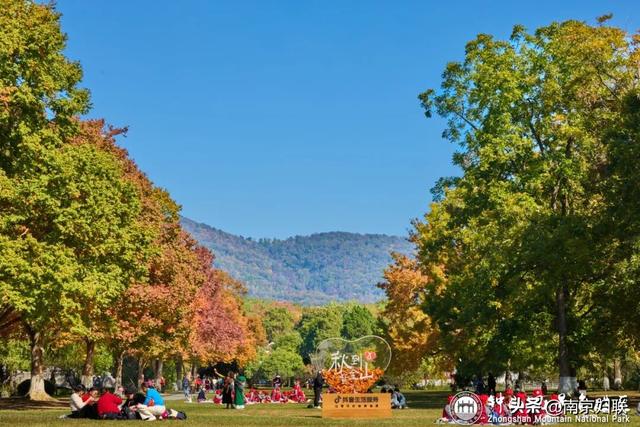 给个准信！盼了又盼的秋日“顶流”全部上线