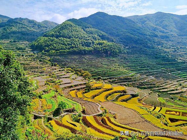 绍兴 11 月赏秋攻略｜6 处绝美秋景地，承包江南的红枫金稻与红柿