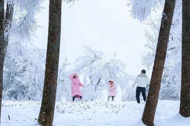 湖北有个滑雪场，让我们一起乘坐高铁享受冬日快乐