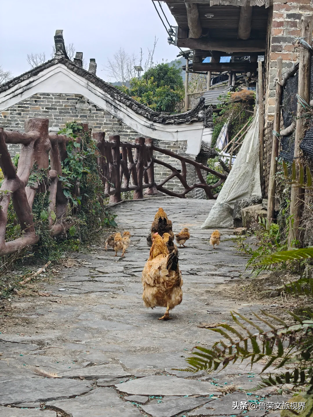 清远：藏在珠三角旁的山水烟火秘境