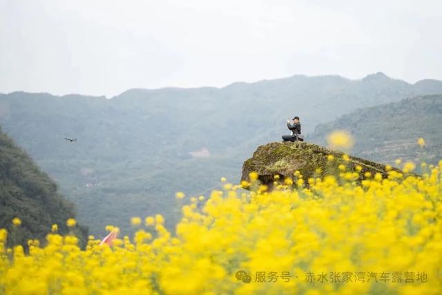 2月28日！赤水张家湾油菜花节启幕！