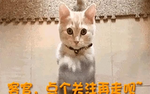 摊牌了，背靠大佬、嫁法国老头、瘫痪，李宇春不再隐瞒，回应了