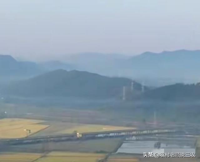 2026村巡察风暴：直击基层腐败七寸，农民的钱袋子这回有人守了！