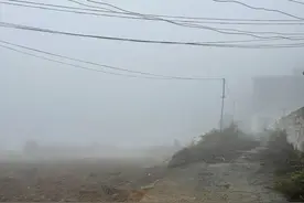 闪婚：“那个女的不见了”图片