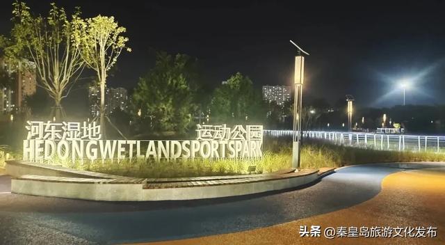 实拍！秦皇岛家门口的免费好去处，这个百亩湿地公园晚上也能逛~