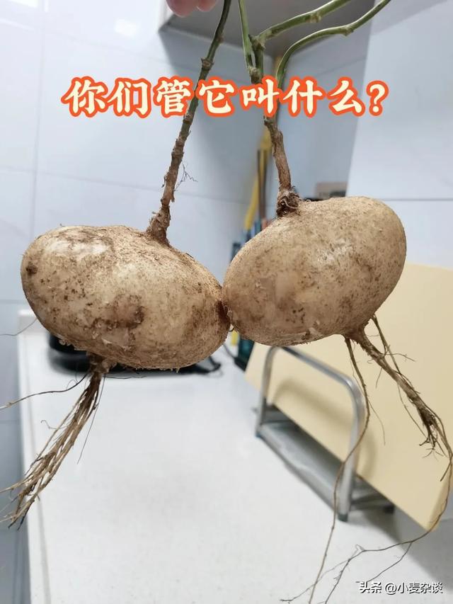 它是“天然开塞露”，吃1次胜过吃10斤香蕉，一周吃2次，缓解便秘