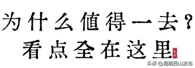 调动六感，90分钟“吃”懂云南！西山区“觉宴”本周五滇池畔开席！