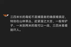 近期云南各地频现国家保护动物眼镜王蛇，危机时刻能否先杀后奏？图片
