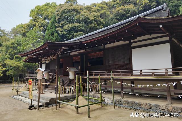 日本京都：走进宇治上神社