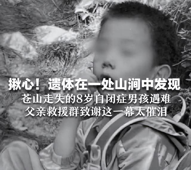 失踪自闭儿遗体已找到，生前饱受痛苦，救援队曝死因，果然不简单