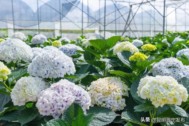 “寻味宝峰”小程序上线啦！宝峰精彩之旅等您开启
