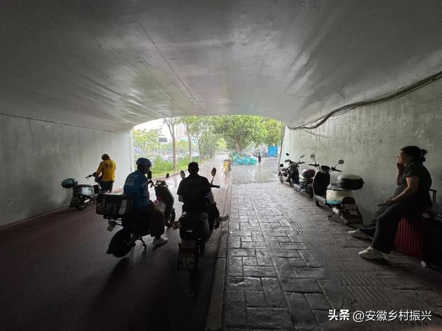 8月，「渴望自由，像治不好的病」