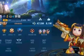胖猫的离去，让我们明白——爱人之前，学会爱自己。图片