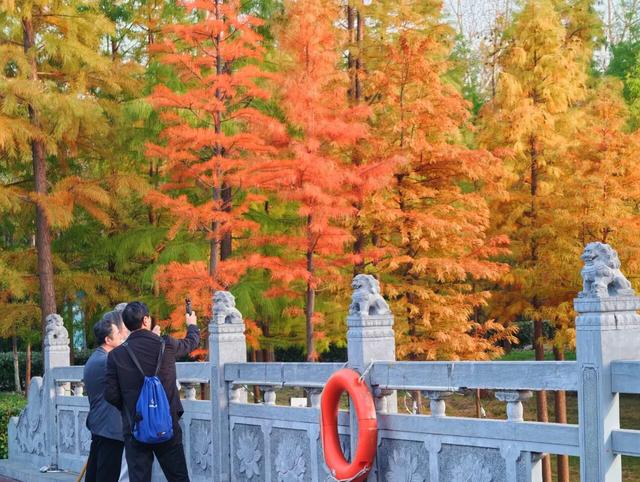 刚拍下！洛阳这个大型公园美爆了