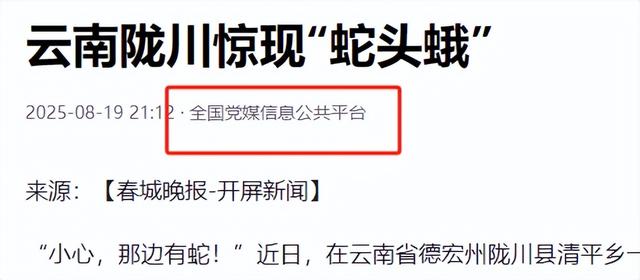 仅2只！云南发现正在交配的“蛇头蛾”，路过的人吓得一哆嗦