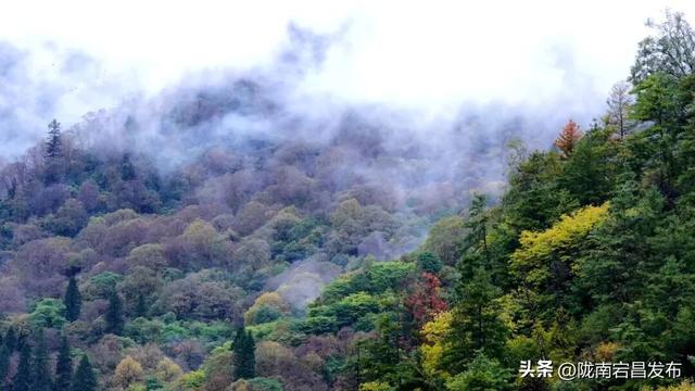 深秋官鹅沟：藏在西北的彩墨长卷