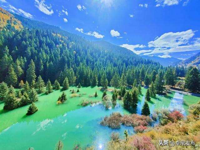 票选大峪沟C位景点！你心中的TOP1该被看见啦