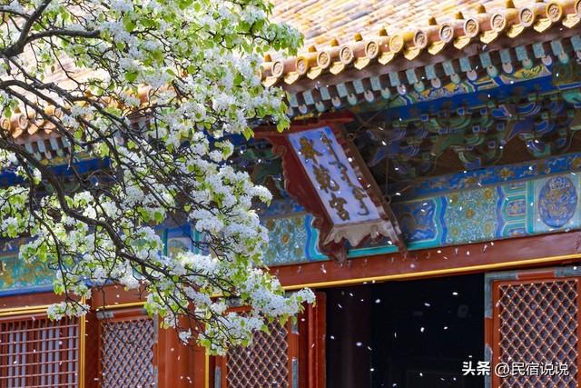 北京故宫的雪到底有多美，居然玩提前预约了！