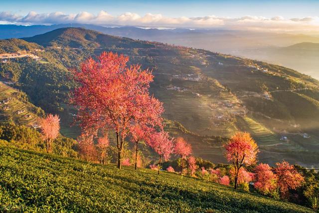 12月-3月，淡季旅行适合去6个目的地，人少景美，风景纯净