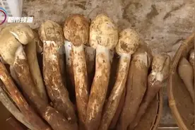 索赔6000元！女子吃菌火锅中毒，火锅店老板：金额不合理……图片