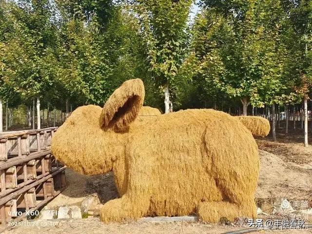 丹枫映秋,枫彩满楼|申艳娟