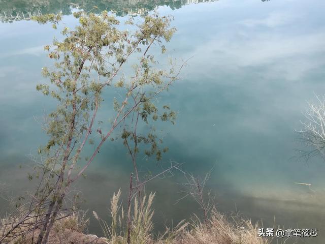 裂谷平湖