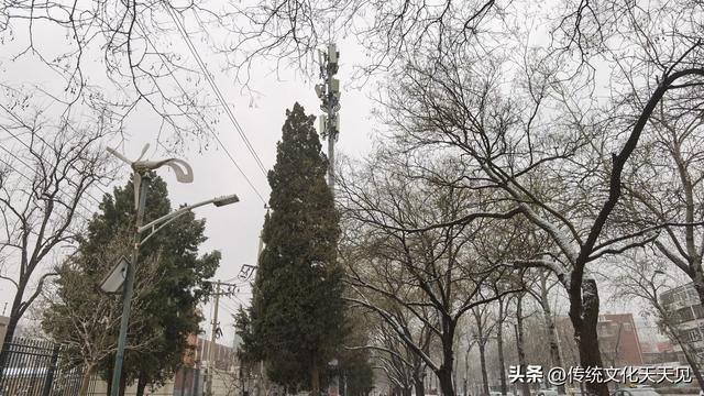 2025年北京冬天第一场雪后随手拍的小情小景，打动您了吗