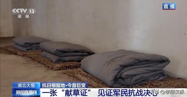 5分18秒!央视直播聚焦孝感这里...