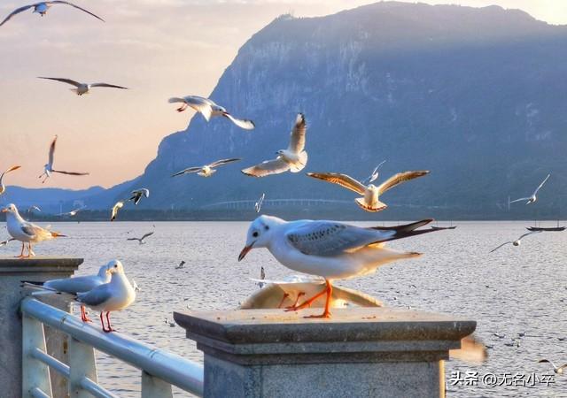 去了云南昆明旅行才知道的五件事，还觉得挺意外，跟想象的不一样