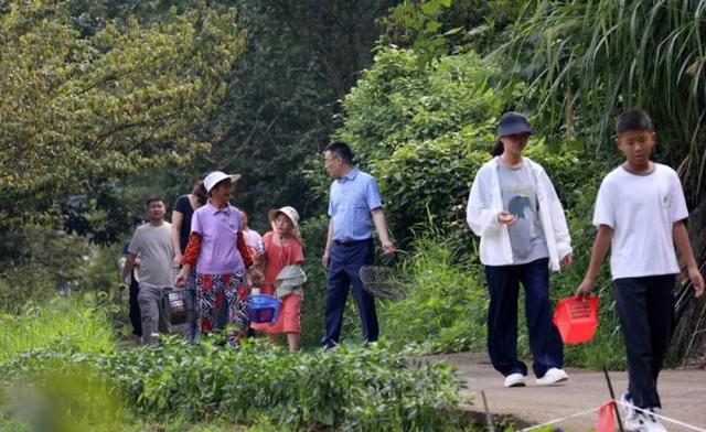 “山村收菜计划”再升级！杭城一批亲子家庭上周末驱车200公里赶到这个海拔600多米的小山村……