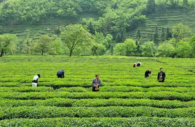 "咔嚓！"→文县