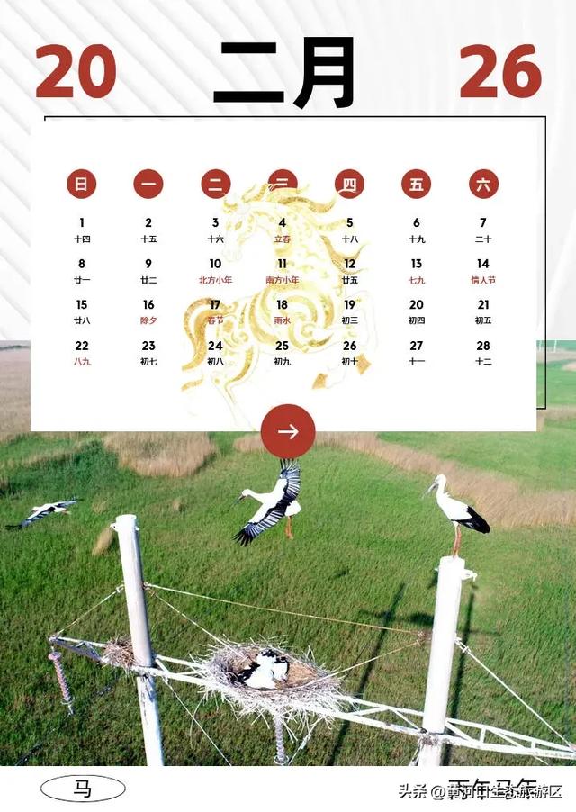 【黄河口生态旅游区】2026新春马年日历来袭啦！