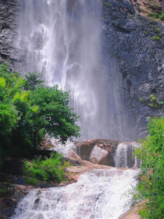 游客呼吁“免门票”延期，潍坊景区：OK！