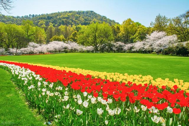 杭州6个值得一去的免费景点，好玩不花钱，拍照超出片，0元游杭州