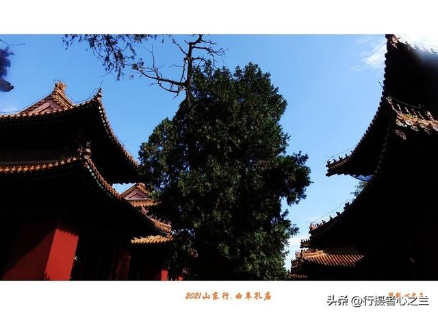 山东行游影记（213）—曲阜孔庙（八）